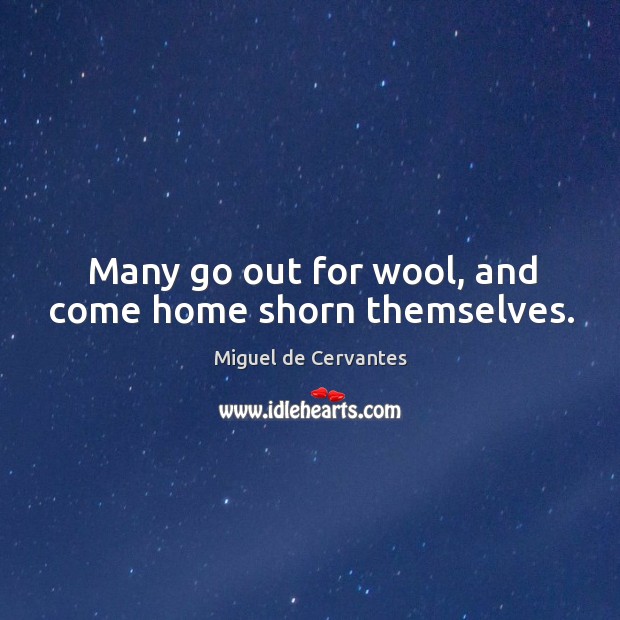 Many go out for wool, and come home shorn themselves. Miguel de Cervantes Picture Quote