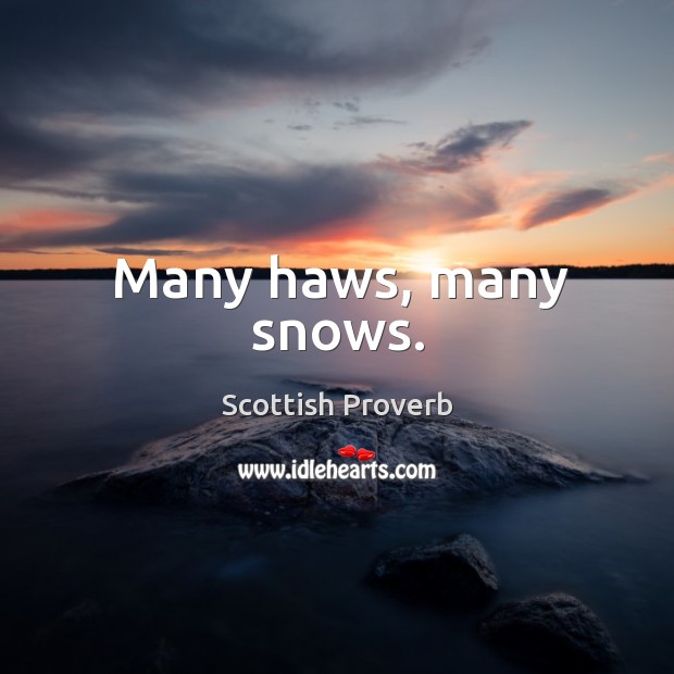 Many haws, many snows. Image