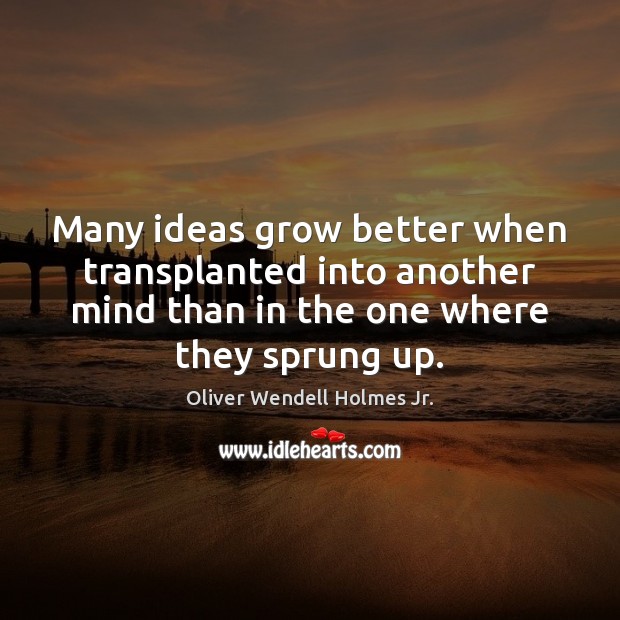 Many ideas grow better when transplanted into another mind than in the Oliver Wendell Holmes Jr. Picture Quote