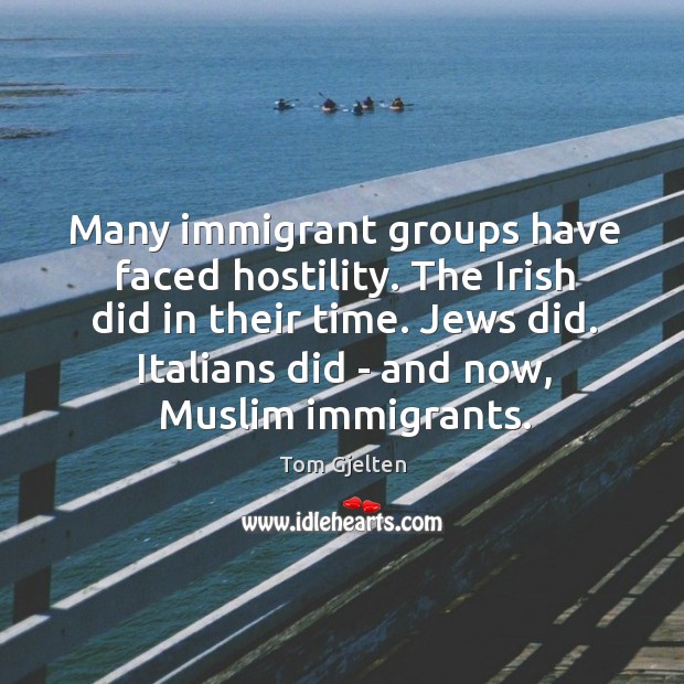 Many immigrant groups have faced hostility. The Irish did in their time. Tom Gjelten Picture Quote