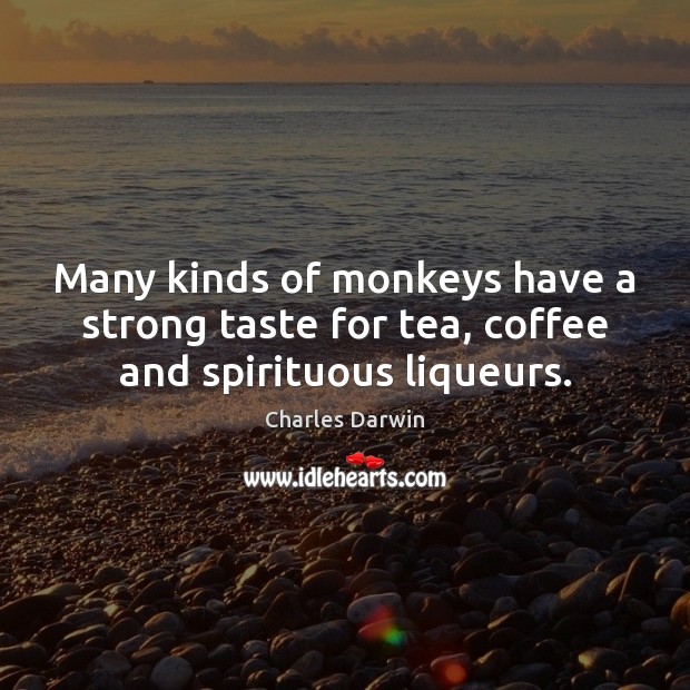 Many kinds of monkeys have a strong taste for tea, coffee and spirituous liqueurs. Charles Darwin Picture Quote