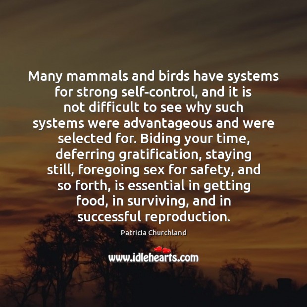 Many mammals and birds have systems for strong self-control, and it is Patricia Churchland Picture Quote