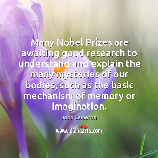 Many nobel prizes are awaiting good research to understand and explain the many Image