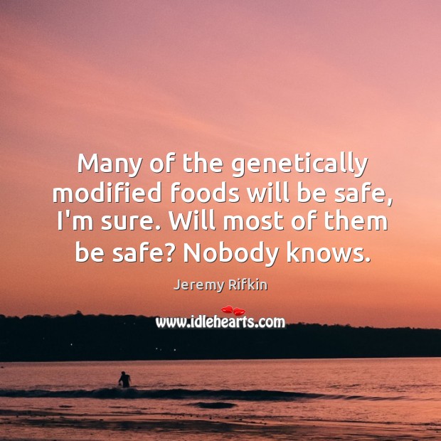 Many of the genetically modified foods will be safe, I’m sure. Will Image