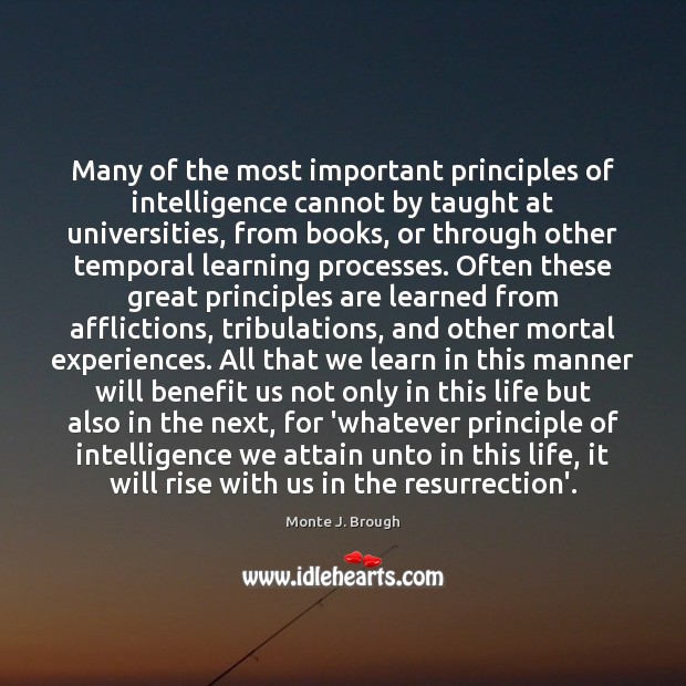 Many of the most important principles of intelligence cannot by taught at Image