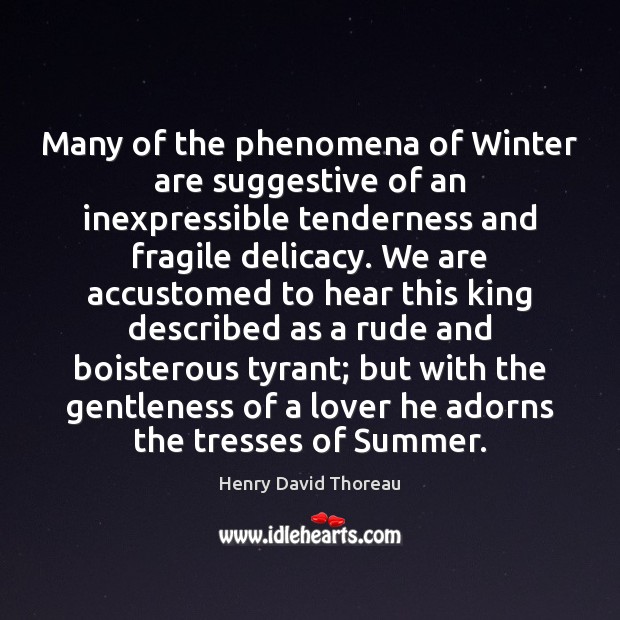Many of the phenomena of Winter are suggestive of an inexpressible tenderness Henry David Thoreau Picture Quote