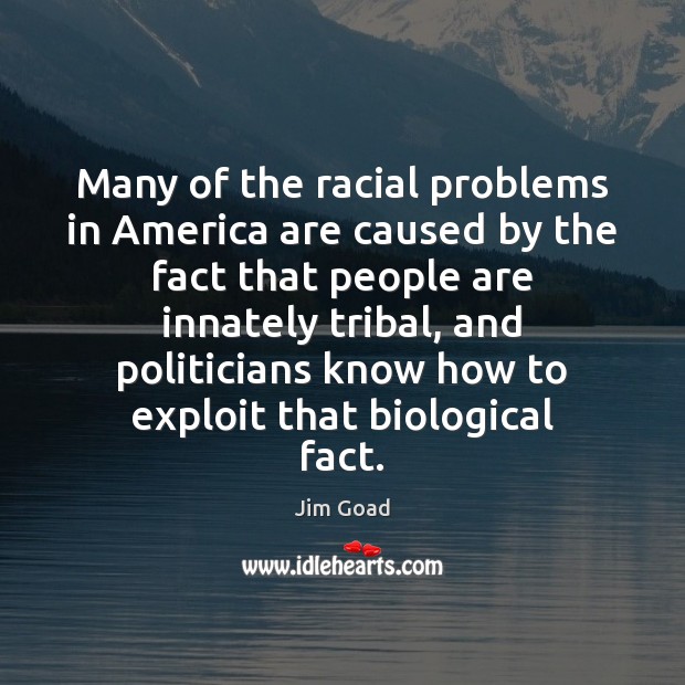 Many of the racial problems in America are caused by the fact Jim Goad Picture Quote