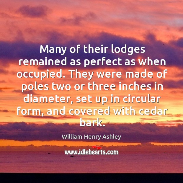 Many of their lodges remained as perfect as when occupied. They were made of poles two or William Henry Ashley Picture Quote