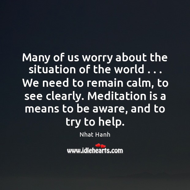 Many of us worry about the situation of the world . . . We need Nhat Hanh Picture Quote