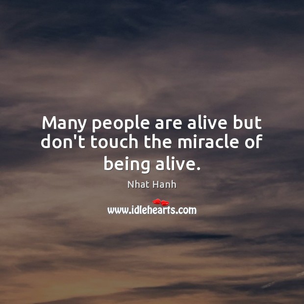 Many people are alive but don’t touch the miracle of being alive. Nhat Hanh Picture Quote