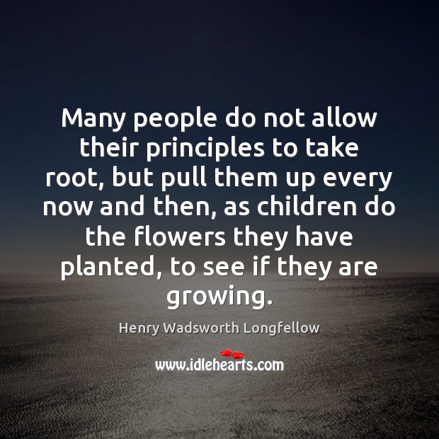Many people do not allow their principles to take root, but pull Henry Wadsworth Longfellow Picture Quote