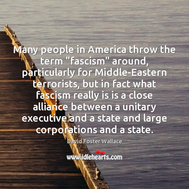 Many people in America throw the term “fascism” around, particularly for Middle-Eastern Image