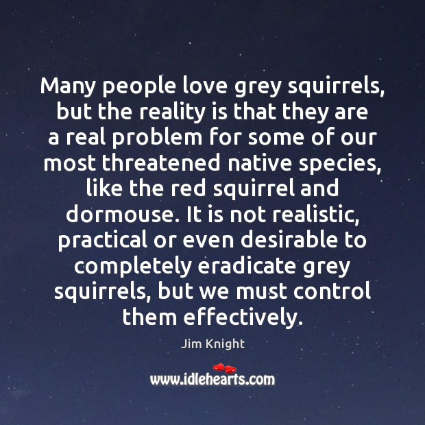 Many people love grey squirrels, but the reality is that they are Image