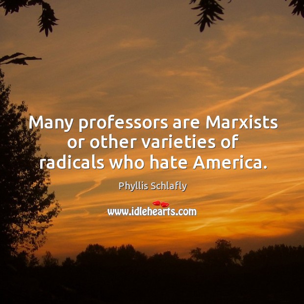 Many professors are marxists or other varieties of radicals who hate america. Phyllis Schlafly Picture Quote