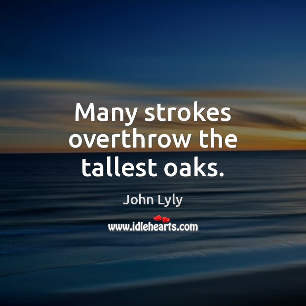 Many strokes overthrow the tallest oaks. John Lyly Picture Quote