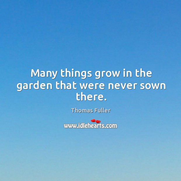 Many things grow in the garden that were never sown there. Thomas Fuller Picture Quote