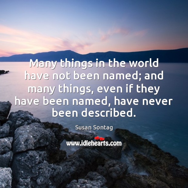 Many things in the world have not been named; and many things, Susan Sontag Picture Quote