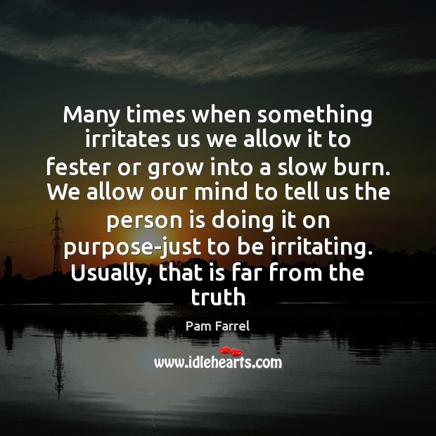 Many times when something irritates us we allow it to fester or Pam Farrel Picture Quote