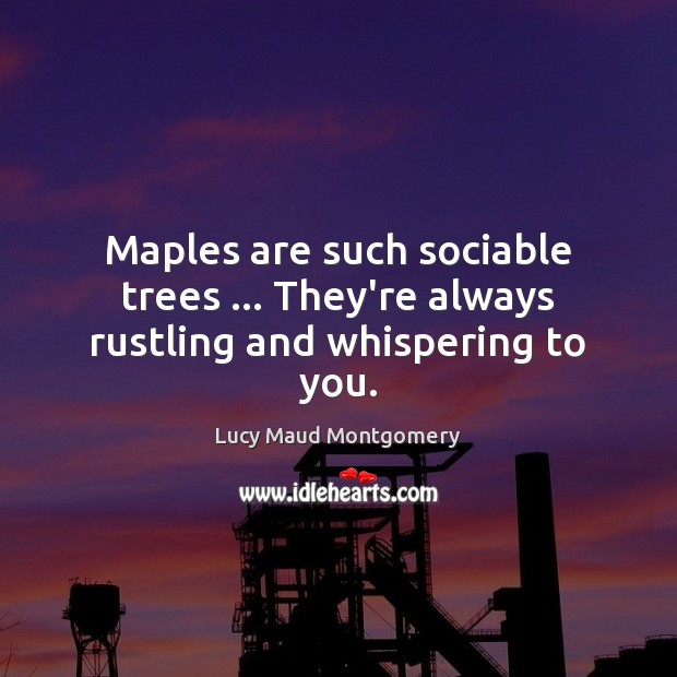 Maples are such sociable trees … They’re always rustling and whispering to you. Lucy Maud Montgomery Picture Quote
