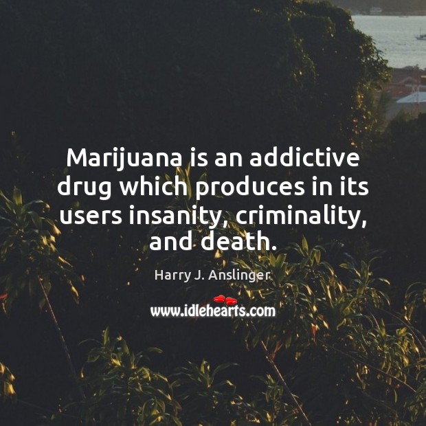 Marijuana is an addictive drug which produces in its users insanity, criminality, Harry J. Anslinger Picture Quote