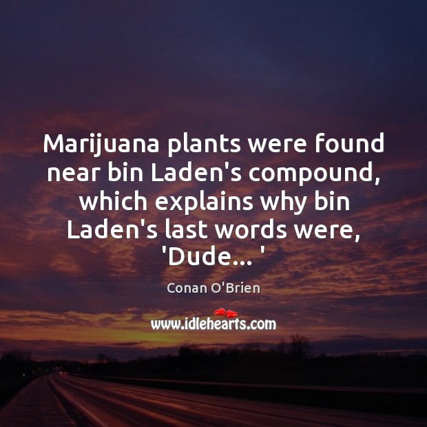 Marijuana plants were found near bin Laden’s compound, which explains why bin Conan O’Brien Picture Quote