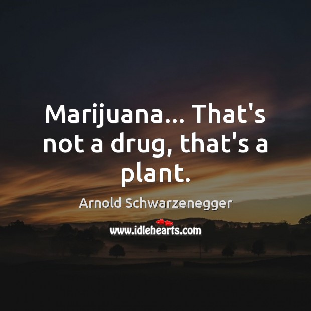 Marijuana… That’s not a drug, that’s a plant. Arnold Schwarzenegger Picture Quote