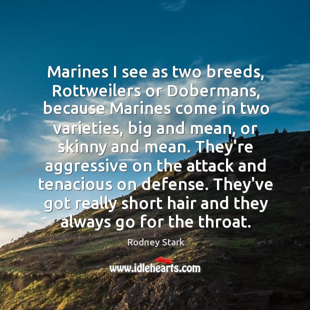Marines I see as two breeds, Rottweilers or Dobermans, because Marines come Rodney Stark Picture Quote