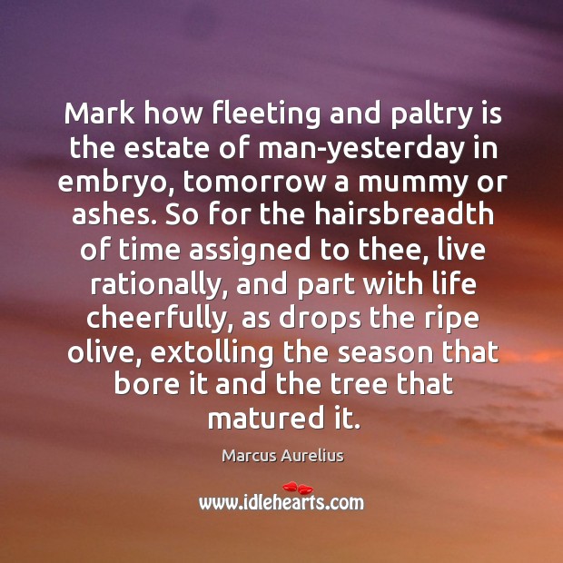 Mark how fleeting and paltry is the estate of man-yesterday in embryo, Marcus Aurelius Picture Quote