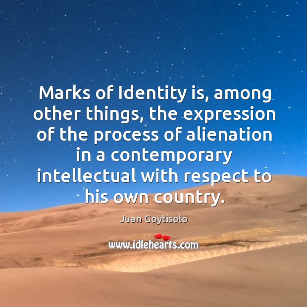 Marks of identity is, among other things, the expression of the process of alienation in Juan Goytisolo Picture Quote
