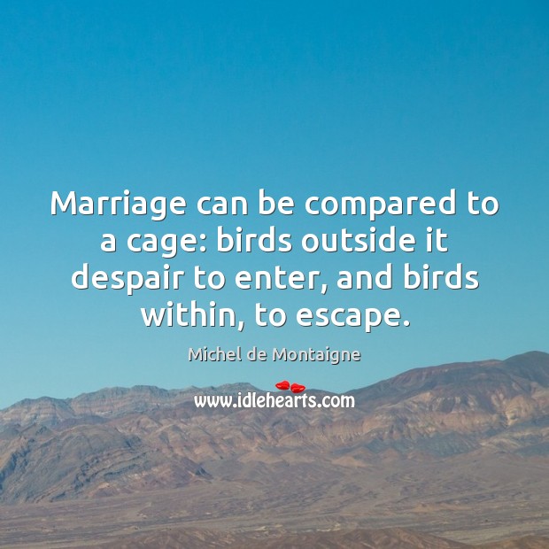 Marriage can be compared to a cage: birds outside it despair to Image