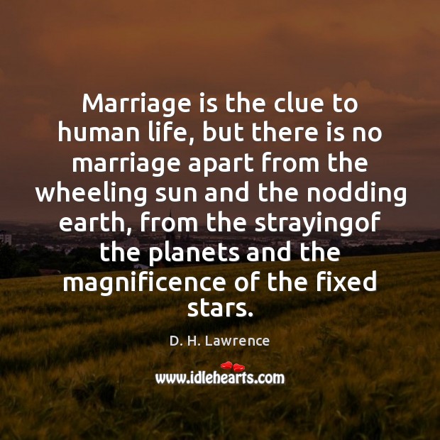 Marriage is the clue to human life, but there is no marriage D. H. Lawrence Picture Quote