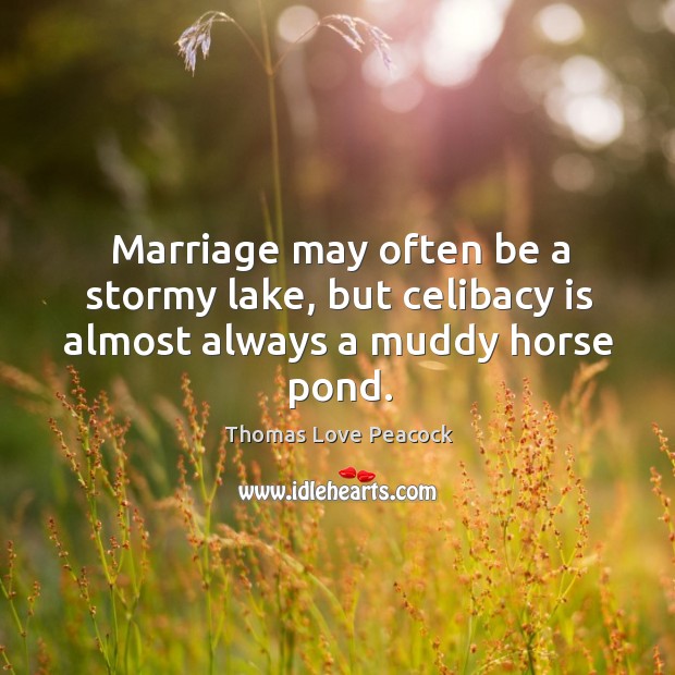 Marriage may often be a stormy lake, but celibacy is almost always a muddy horse pond. Thomas Love Peacock Picture Quote