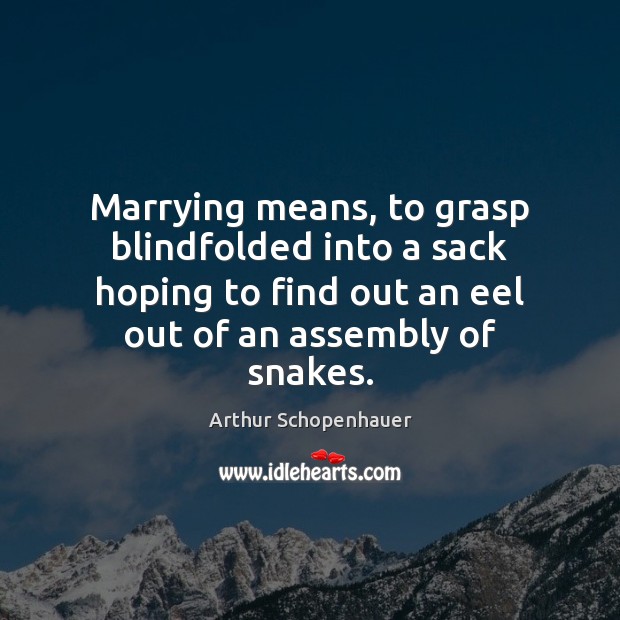 Marrying means, to grasp blindfolded into a sack hoping to find out Arthur Schopenhauer Picture Quote