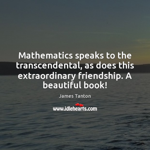 Mathematics speaks to the transcendental, as does this extraordinary friendship. A beautiful James Tanton Picture Quote