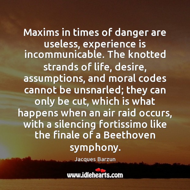 Maxims in times of danger are useless, experience is incommunicable. The knotted Experience Quotes Image