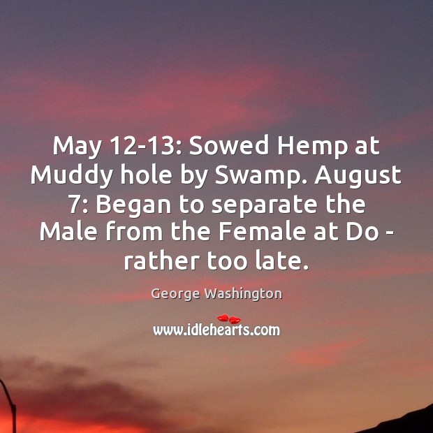 May 12-13: Sowed Hemp at Muddy hole by Swamp. August 7: Began to Image