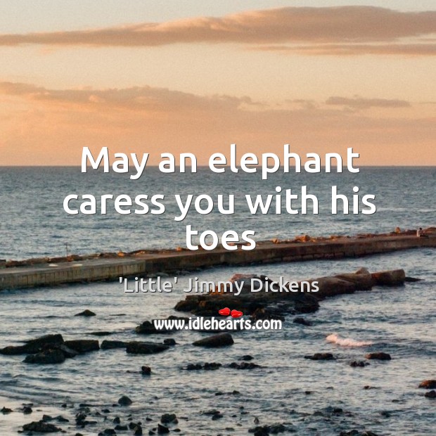 May an elephant caress you with his toes Image