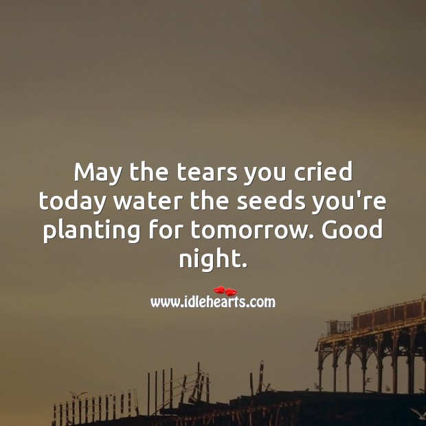 May the tears you cried today water the seeds you’re planting for tomorrow. Good Night Quotes Image