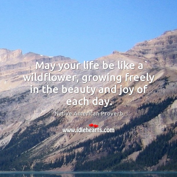 May your life be like a wildflower, growing freely in the beauty and joy of each day. Image