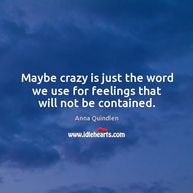 Maybe crazy is just the word we use for feelings that will not be contained. Anna Quindlen Picture Quote