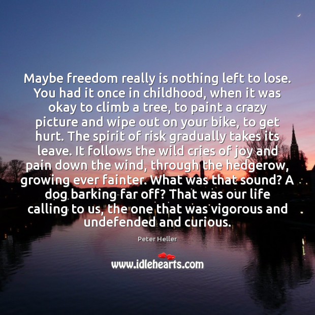 Maybe freedom really is nothing left to lose. You had it once Peter Heller Picture Quote