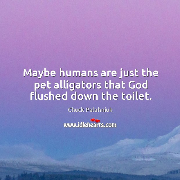 Maybe humans are just the pet alligators that God flushed down the toilet. Chuck Palahniuk Picture Quote
