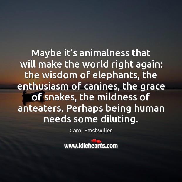 Maybe it’s animalness that will make the world right again: the Carol Emshwiller Picture Quote