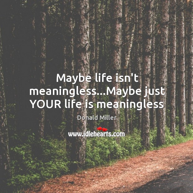 Maybe life isn’t meaningless…Maybe just YOUR life is meaningless Donald Miller Picture Quote