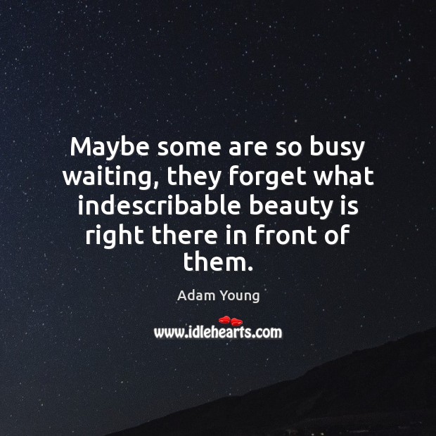Maybe some are so busy waiting, they forget what indescribable beauty is Adam Young Picture Quote