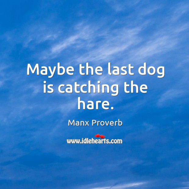 Maybe the last dog is catching the hare. Manx Proverbs Image
