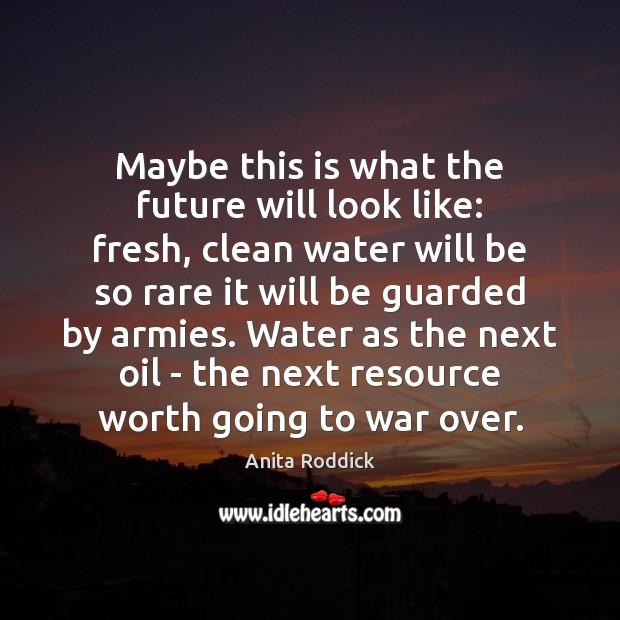 Maybe this is what the future will look like: fresh, clean water Anita Roddick Picture Quote