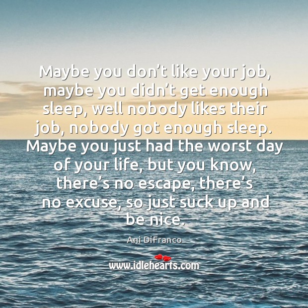 Maybe you don’t like your job, maybe you didn’t get enough sleep Ani DiFranco Picture Quote