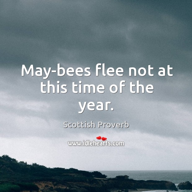 May-bees flee not at this time of the year. Scottish Proverbs Image