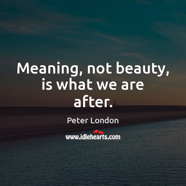 Meaning, not beauty, is what we are after. Peter London Picture Quote